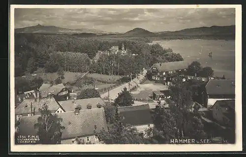 AK Hammer /Leipa / Ceska Lipa, Blick auf Häuser am See mit Umgebung