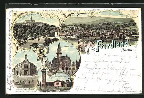 Lithographie Friedland / Frydlant, Kaiser Franz Josef-Landwirtschaftshaus, Rathaus, Aussichtsturm