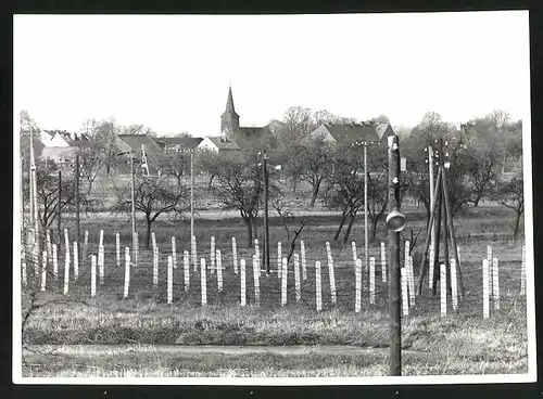Fotografie unbekannter Fotograf, Ansicht Berlin-Lübars, Sektorengrenze - Sperrzaun in Blankenfelde 1963