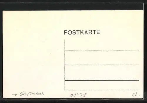 Lithographie Lausa, Gasthof Lausa, Totalansicht, Villa Laura