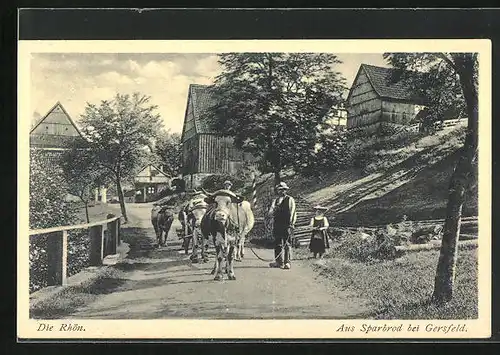 AK Sparbrod b. Gersfeld, Strassenpartie mit Ochsengespann