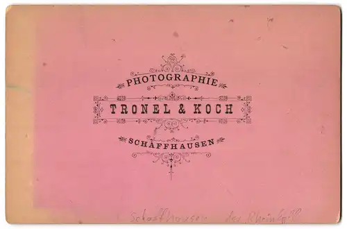 Fotografie Tronel & Koch, Schaffhausen, Ansicht Schaffhausen, Blick auf den Rheinfall