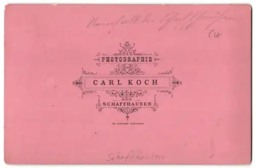 Fotografie Carl Koch, Schaffhausen, Ansicht Schaffhausen, Partie am Rheinfall