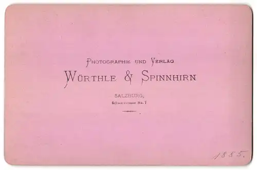 Fotografie Würthle & Spinnhirn, Salzburg, Ansicht Zell am See, Totalansicht mit Alpenpanorama