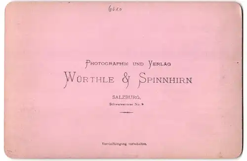 Fotografie Würthle & Spinnhirn, Salzburg, Ansicht Innsbruck, Totalansicht mit Inn und Alpen