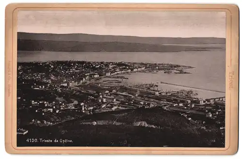 Fotografie Stengel & Co., Berlin, Ansicht Triest, Trieste de Opcina, Totale mit Hafen