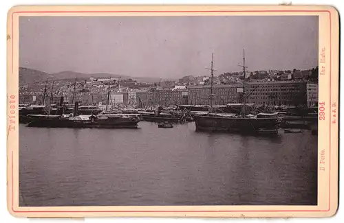 Fotografie Römmler & Jonas, Dresden, Ansicht Trieste, der Hafen mit Segelschiffen