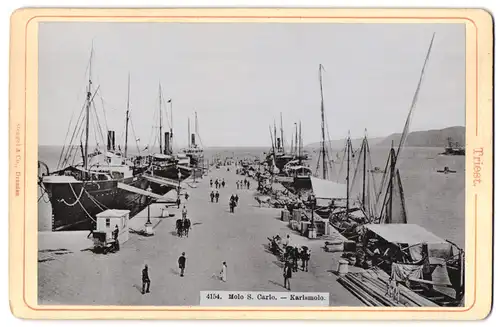 Fotografie Stengel & Co., Dresden, Ansicht Triest, Molo S. Carlo, Karlsmole mit Dampfschiffen