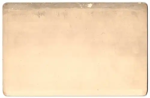 Fotografie Stengel & Co., Dresden, Ansicht Triest, Molo S. Carlo, Karlsmole mit Dampfschiffen