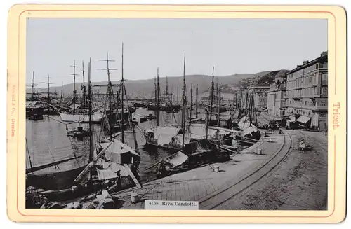 Fotografie Stengel & Co., Dresden, Ansicht Triest, Riva Carciotto mit Segelbooten