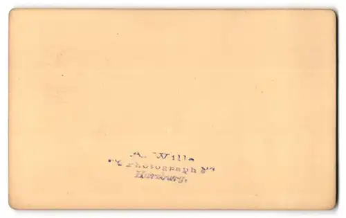 Fotografie A. Wille, Harzburg, Ansicht Brocken, Brockenturm mit Hotel