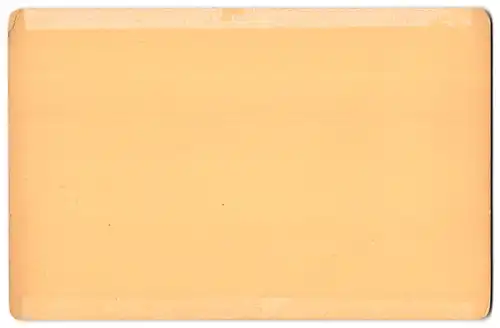 Fotografie J. F. Stiehm, Berlin, Ansicht Potsdam, Partie am Orangerie Haus