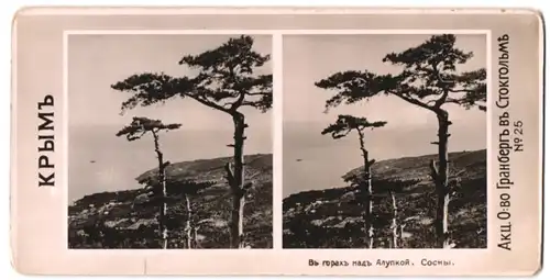 Stereo-Fotografie Granberg, Stockholm, Ansicht Alupka / Krim, Landschaft mit Blick auf den Ort