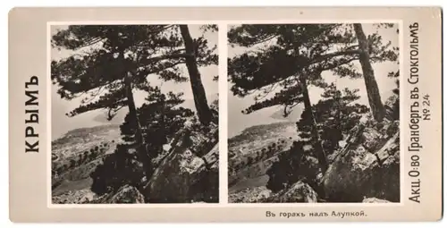 Stereo-Fotografie Granberg, Stockholm, Ansicht Alupka / Krim, Landschaft auf der Krim