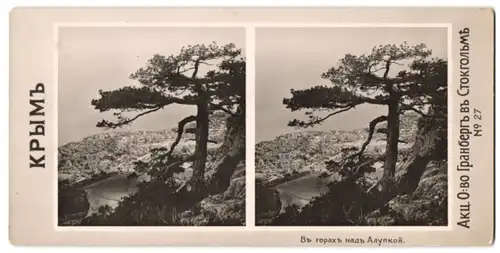 Stereo-Fotografie Granberg, Stockholm, Alupka / Krim, Blick vom Berg auf die Krim