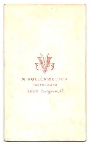 Fotografie M. Vollenweider, Bern, Portrait korpulenter Herr im Anzug mit buschigem Vollbart