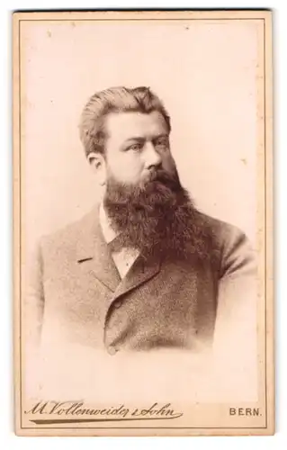 Fotografie M. Vollenweider & Sohn, Bern, Postgasse 68, Portrait Herr im grauen Anzug mit langem Vollbart
