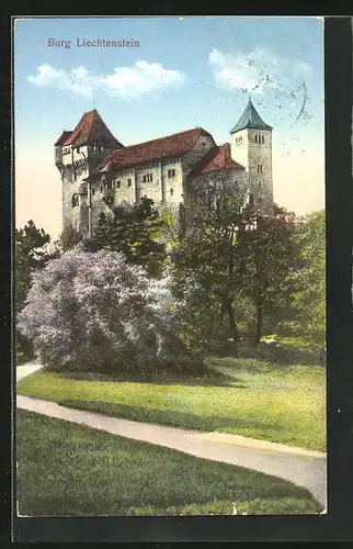 AK Liechtenstein, Blick auf Burg