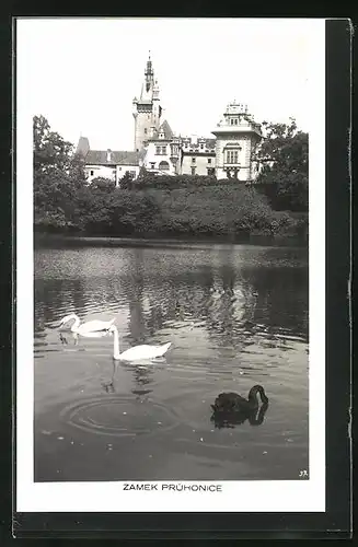 AK Pruhonice, Zámek, Schwäne im Schlossteich