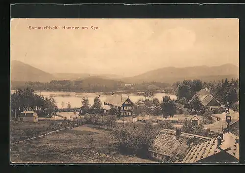 AK Hammer Am See / Hamr Na Jezere, Häuser am See