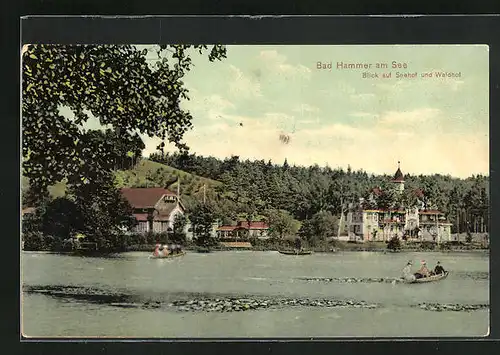 AK Hammer Am See / Hamr Na Jezere, Blick auf Gasthäuser Seehof und Waldhof