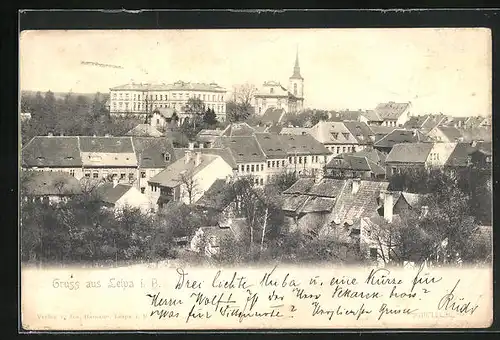 AK Leipa / Ceska Lipa, Panorama über die Dächer der Stadt