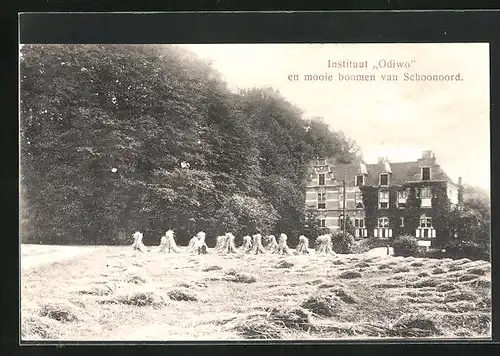 AK Doorn, Instituut Odiwo en mooie boomen van Schoonoord