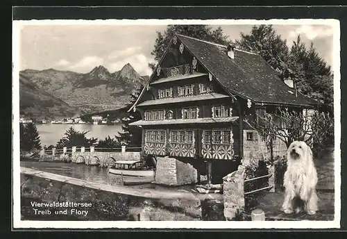 AK Brunnen, Treib und Flory am Vierwaldstättersee