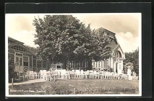 AK Hammer Am See / Hamr Na Jezere, Terrasse des Gasthaus Seehof