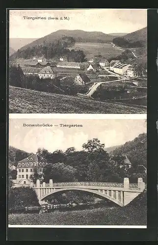 AK Tiergarten, Ortsansicht und Donaubrücke