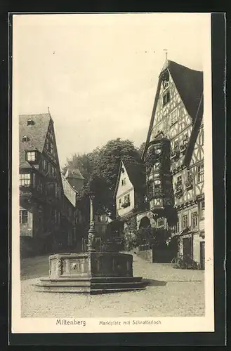 AK Miltenberg, Marktplatz mit Schnatterloch