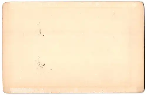 Fotografie Stengel & Co., Berlin, Ansicht St. Pankraz, Mann mit Handkarren auf dem Feld