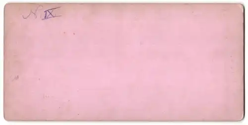 Stereo-Fotografie Würthle & Spinnhirn, Salzburg, Ansicht Hallstatt, Ortspartie am See