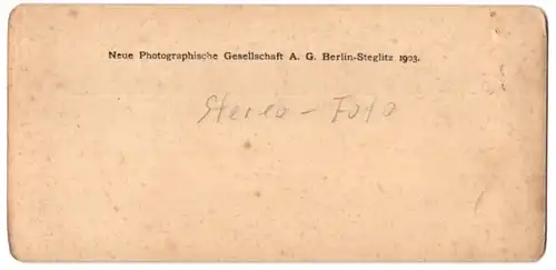 Stereo-Fotografie NPG, Berlin-Steglitz, Ansicht Bad Tölz, Blick auf den Ort im Bayr. Hochland