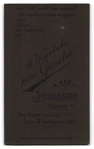 Fotografie B. Wendsche, Ingolstadt, Milchstr. 14, junger Soldat in Uniform, Erinnerung an Dienstzeit, Bild Ludwig III.