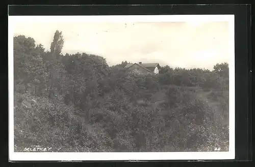 AK Seletice, Haus im Wald