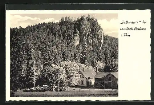 AK Tambach-Dietharz i. Thür., Gasthaus am Falkenstein