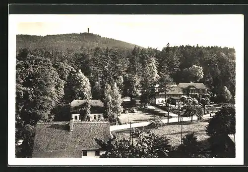 AK Oybin /Zittauer Gebirge, Kurhotel Forsthaus Hain und Hochwald