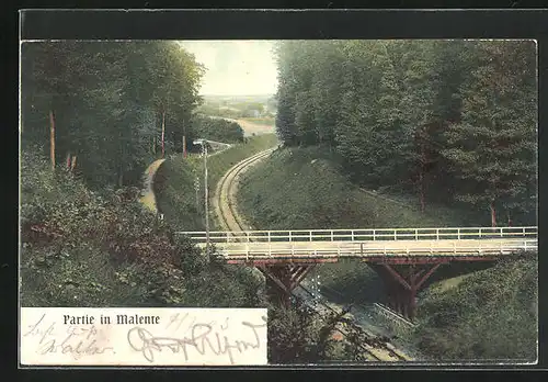 AK Malente, Eisenbahnschienen durch den Wald