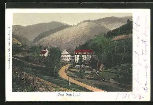 AK Bad Sulzbach, Häuser an Strasse mit Hügellandschaft