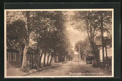 AK Nieblum Föhr, Dorfstrasse mit Häusern