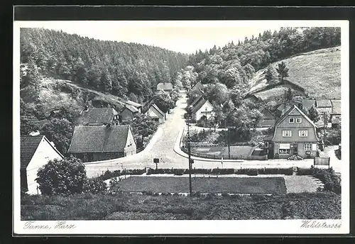 AK Tanne /Harz, Waldstrasse mit Häusern