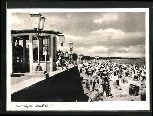 AK Binz /Rügen, Strandleben mit Badegästen