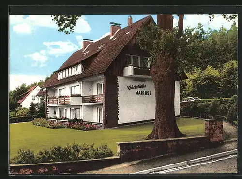 AK Neuhaus /Solling, Gasthaus Haus Mairose