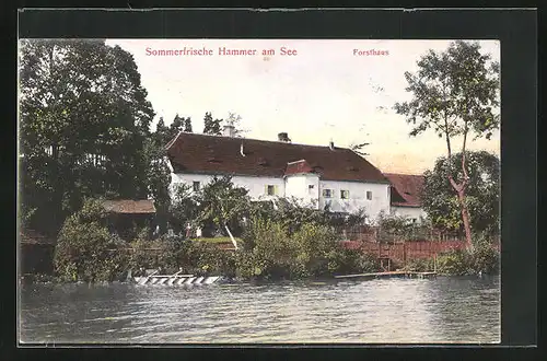 AK Hammer Am See / Hamr Na Jezere, Blick aufs Gasthaus Forsthaus vom See aus
