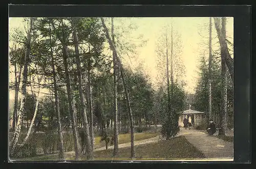 AK Tousen, Lazensky park