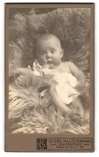 Fotografie Georg Haltermann, Eckernförde, Kielerstrasse 36, Kleines Baby auf Fell in weissem Kleidchen