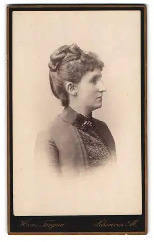Fotografie Hans Torgau, Schwerin i. M., Arsenalstr. 4, Seitenportrait Dame im Biedermeierkleid mit Hochsteckfrisur
