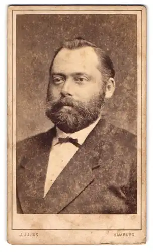 Fotografie J. Julius, Hamburg, Gr. Bleichen 31, Mann in edlem Anzug, Bart und grossen Augen