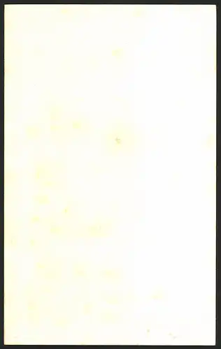 Exlibris Günther Clausen, Männerkopf in einer Schlucht, Toteschädel